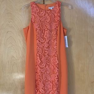 Orange lace Eva Mendes (New York & Company) size M